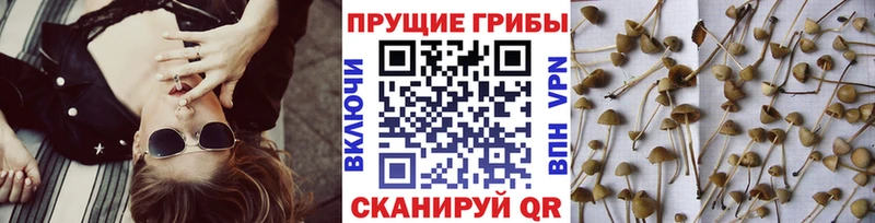 Галлюциногенные грибы ЛСД  Купить  Краснотурьинск 